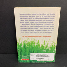 Load image into Gallery viewer, Small Steps (Louis Sachar) -chapter paperback
