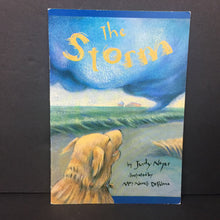 Load image into Gallery viewer, The Storm (Scott Foresman) (Judy Nayer) -reader paperback

