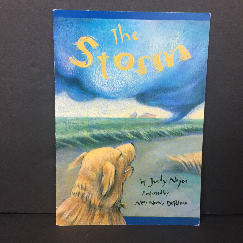 The Storm (Scott Foresman) (Judy Nayer) -reader paperback