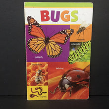 Load image into Gallery viewer, Bugs (Insects) -educational board
