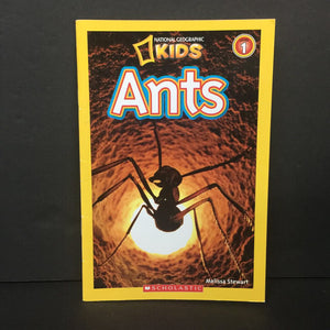 Ants (National Geographic Kids Level 1) (Melissa Stewart) -educational reader paperback