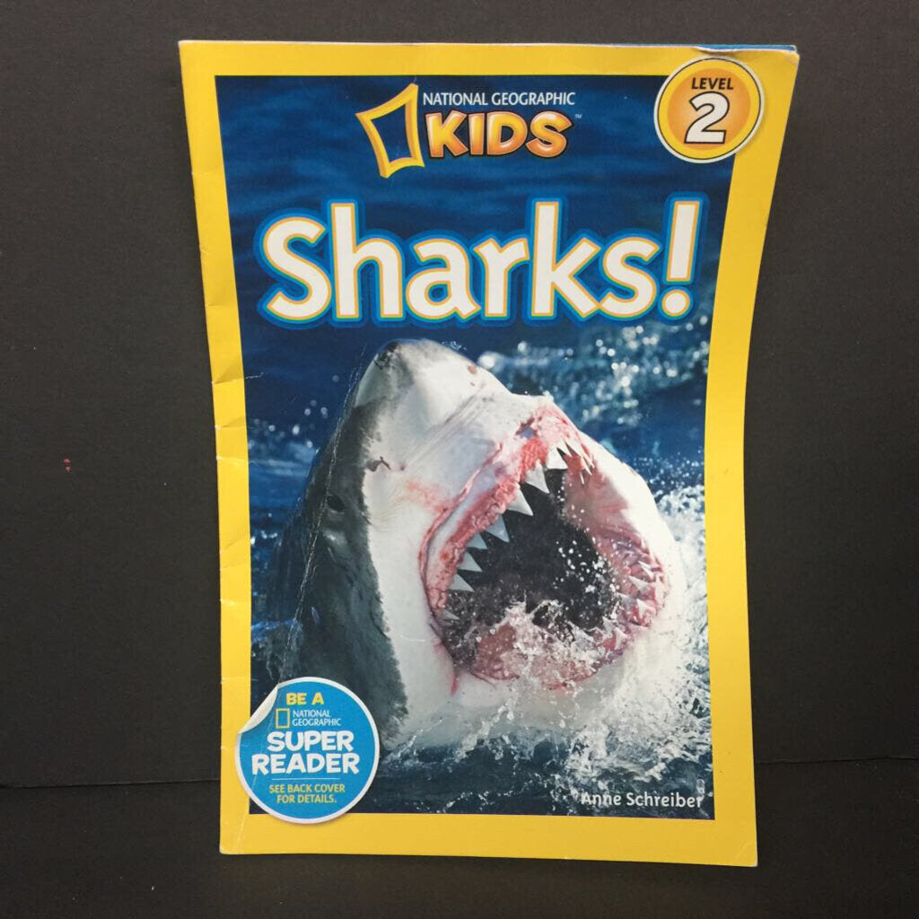 Sharks! (National Geographic Kids Level 2) (Anne Schreiber) (Sea Animals/Sharks) -educational reader paperback