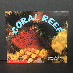 Coral Reef (Susan Canizares & Mary Reid) (Sea Animals/Environment) (Science Emergent Readers) -reader educational paperback