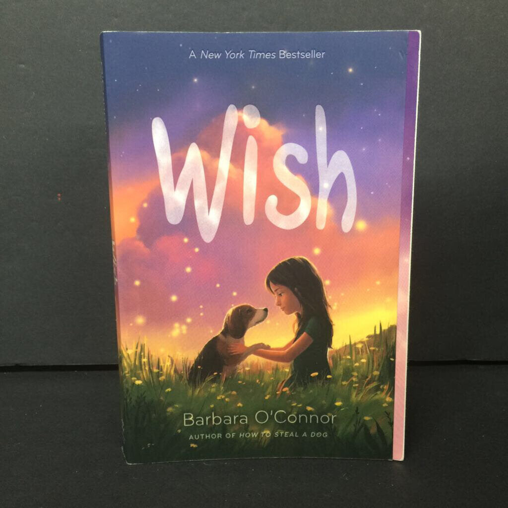 Wish (Barbara O'Connor) -chapter paperback