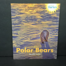 Load image into Gallery viewer, Polar Bears (Meredith Costain) (Sundance Starters GRL D) (Mammals) -educational reader paperback
