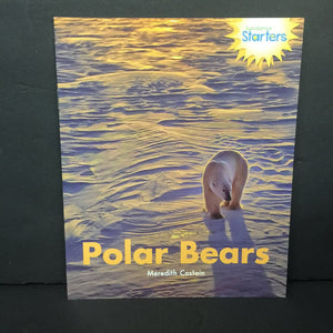 Polar Bears (Meredith Costain) (Sundance Starters GRL D) (Mammals) -educational reader paperback