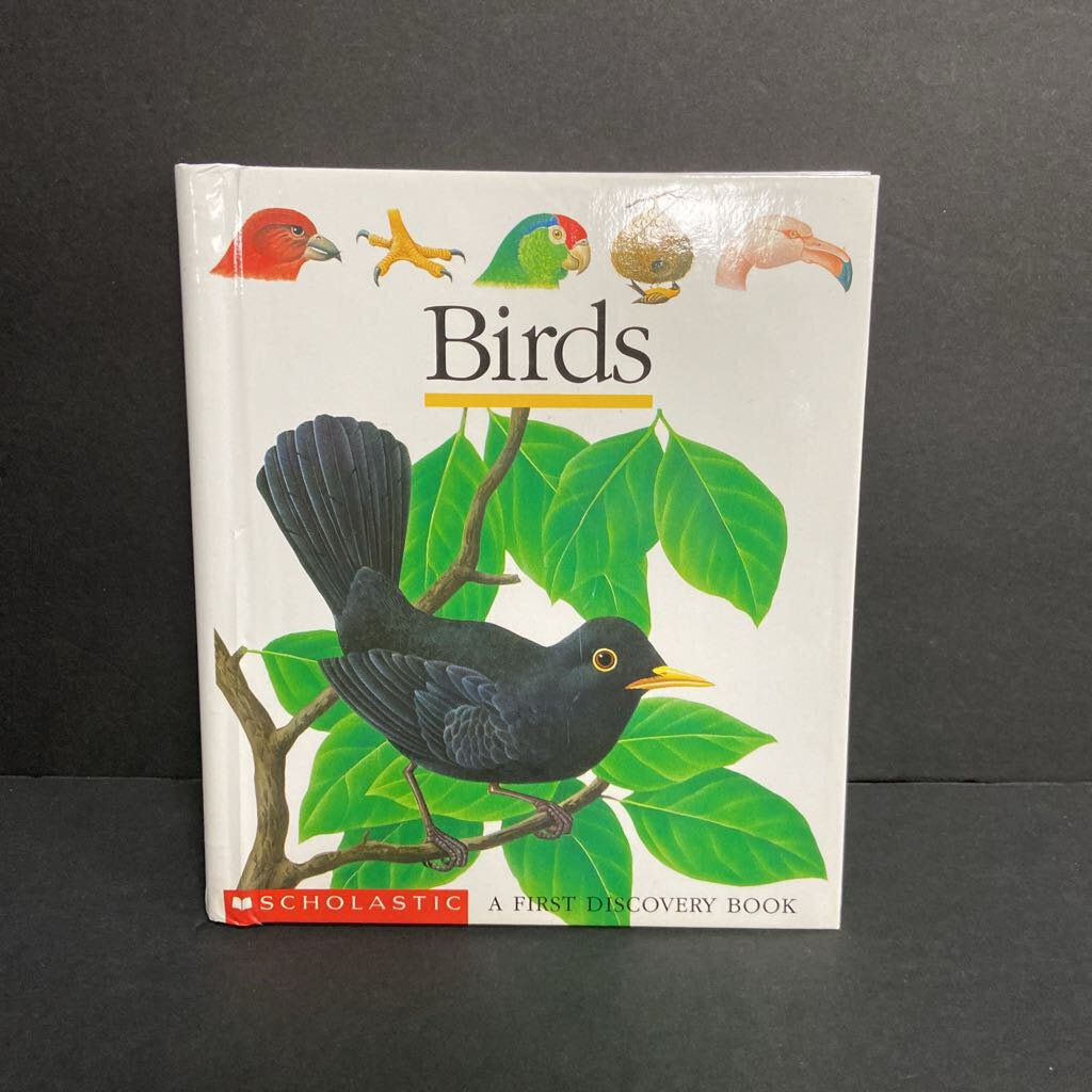 Birds: A First Discovery Book (Jennifer Riggs) -educational hardcover
