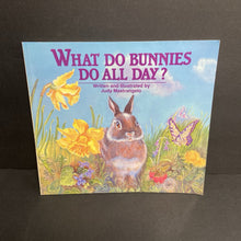 Load image into Gallery viewer, What Do Bunnies Do All Day? (Judy Mastrangelo) -paperback
