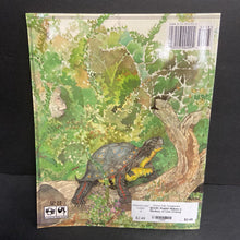 Load image into Gallery viewer, Rabbit Makes a Monkey of Lion (Verna Aardema) -paperback
