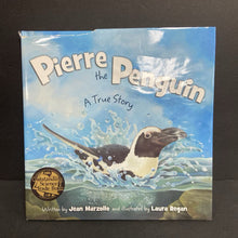 Load image into Gallery viewer, Pierre the Penguin: A True Story (Jean Marzollo) (Birds/Sea Animals) -educational hardcover
