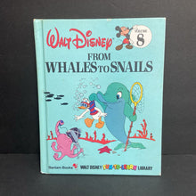 Load image into Gallery viewer, From Whales to Snails (Walt Disney Volume 8 Fun-To-Learn Library) (Vintage Collectible 1983) (Sea Animals) -character educational hardcover
