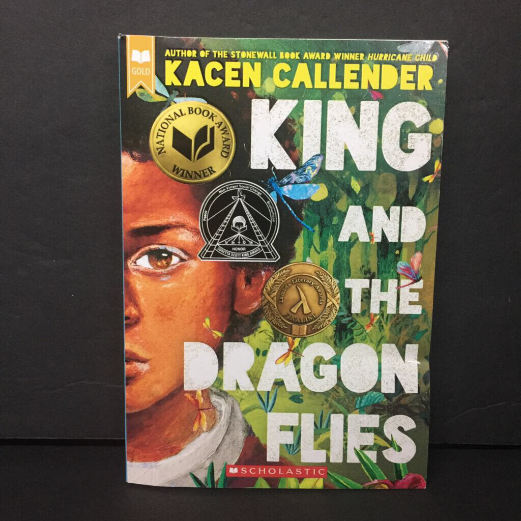 King and the Dragonflies (Kacen Callender) -chapter paperback