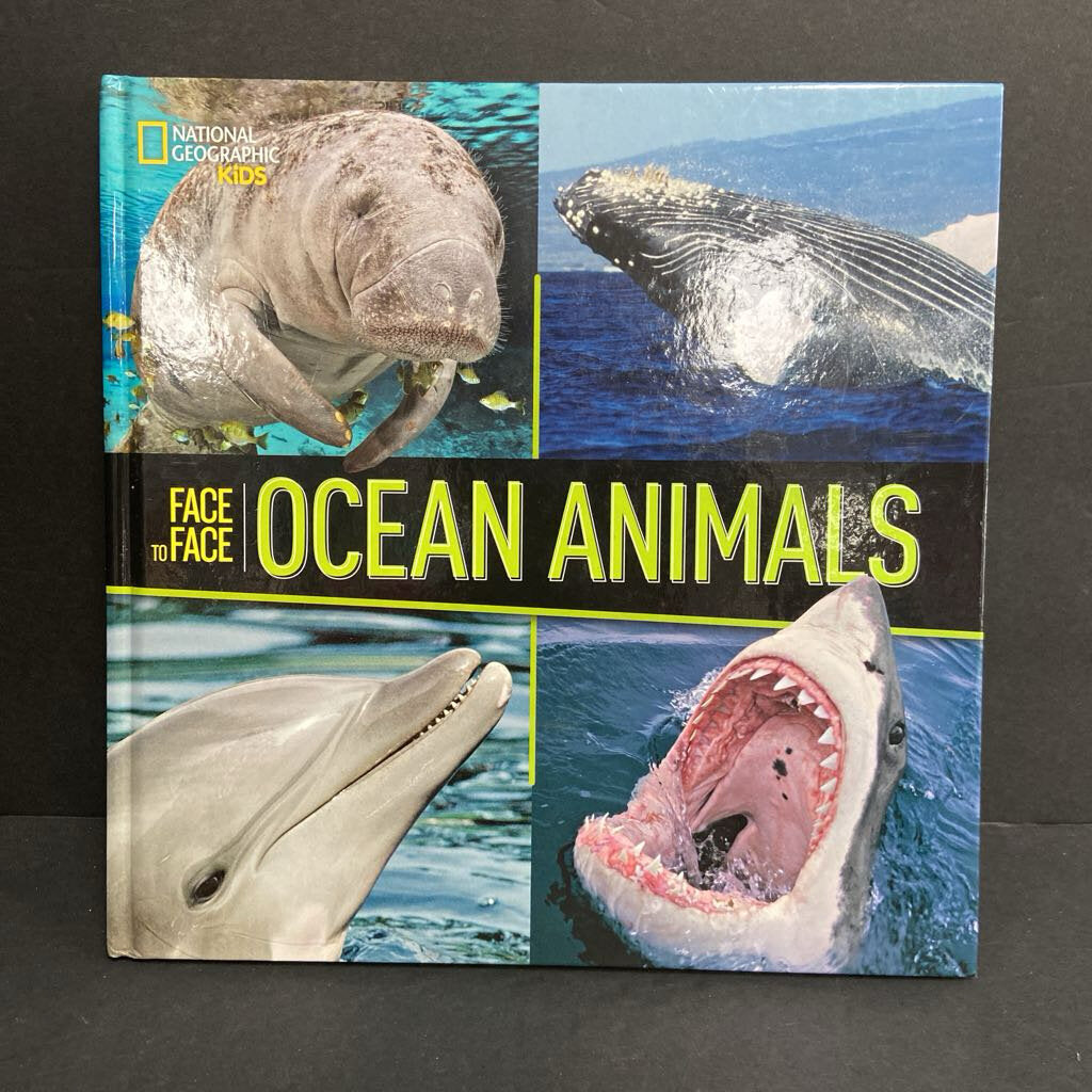Face to Face Ocean Animals (National Geographic Kids) (Sea Animals/Sharks) (Flip & Linda Nicklin) -educational hardcover