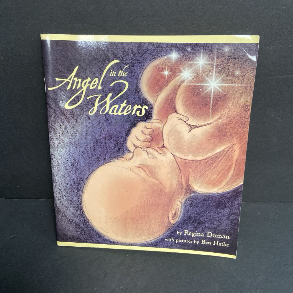 Angel in the Waters (Regina Doman) (Family) -paperback