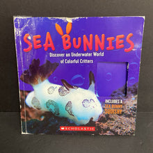 Load image into Gallery viewer, Sea Bunnies: Discover an Underwater World of Colorful Critter (Kelly Hargrave) (Sea Animals) -educational paperback
