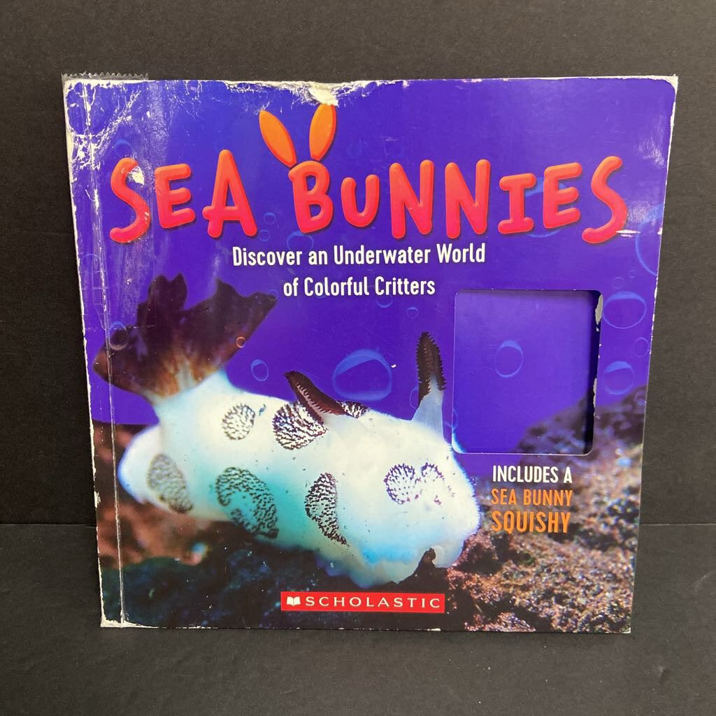 Sea Bunnies: Discover an Underwater World of Colorful Critter (Kelly Hargrave) (Sea Animals) -educational paperback
