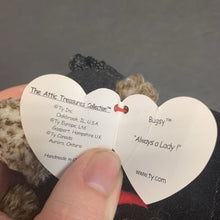 Load image into Gallery viewer, Bugsy the Ladybug Bear Beanie Baby
