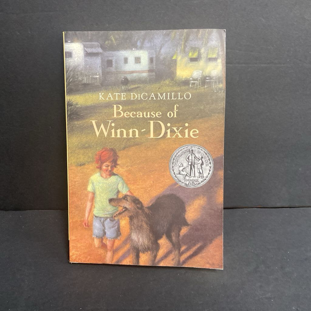 Because of Winn-Dixie (Kate DiCamillo) -chapter paperback