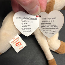 Load image into Gallery viewer, Snip the Cat Beanie Baby

