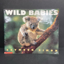 Load image into Gallery viewer, Wild Babies (Seymour Simon) (Mammals) -educational paperback

