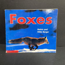Load image into Gallery viewer, Foxes (Melvin and Gilda Berger) (Time-to-Discover) (Mammals) -educational reader paperback
