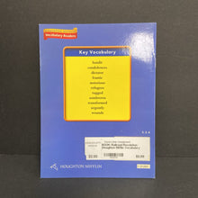 Load image into Gallery viewer, Railroad Revolution (Houghton Mifflin Vocabulary Readers) (Adam McClellan) -reader paperback
