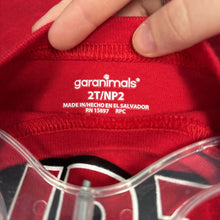 Load image into Gallery viewer, &quot;Birthday Dude&quot; Shirt
