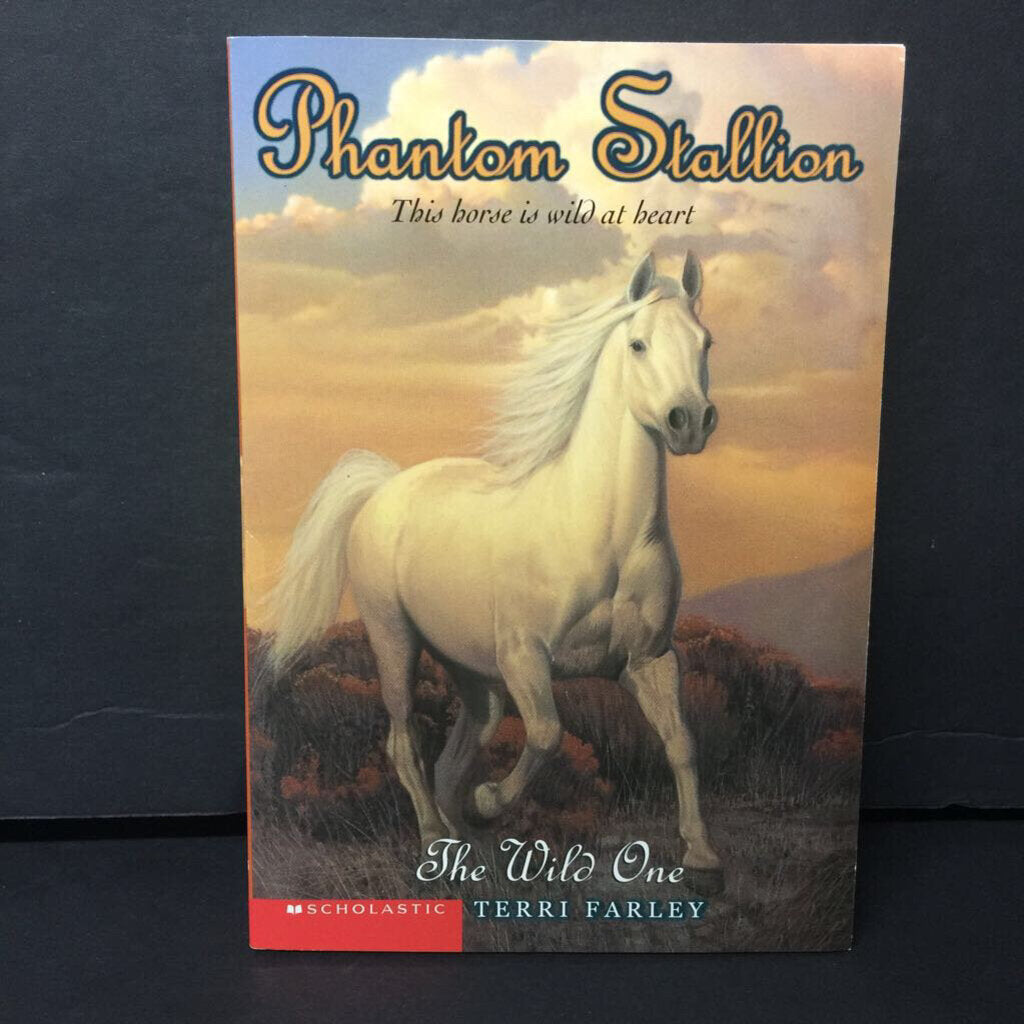 The Wild One (Phantom Stallion) (Terri Farley) -series paperback