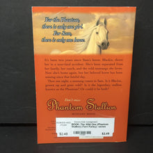 Load image into Gallery viewer, The Wild One (Phantom Stallion) (Terri Farley) -series paperback
