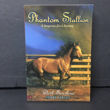 Load image into Gallery viewer, Dark Sunshine (Phantom Stallion) (Terri Farley) -series paperback
