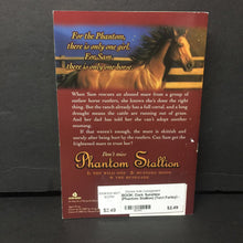 Load image into Gallery viewer, Dark Sunshine (Phantom Stallion) (Terri Farley) -series paperback
