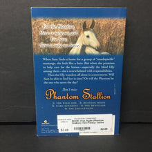 Load image into Gallery viewer, Free Again (Phantom Stallion) (Terri Farley) -series paperback
