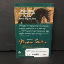 Load image into Gallery viewer, The Challenger (Phantom Stallion) (Terri Farley) -series paperback
