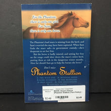 Load image into Gallery viewer, Desert Dancer (Phantom Stallion) (Terri Farley) -series paperback
