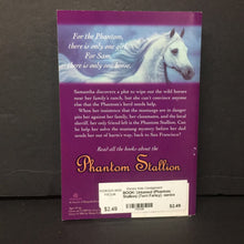 Load image into Gallery viewer, Untamed (Phantom Stallion) (Terri Farley) -series paperback
