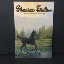 Load image into Gallery viewer, Rain Dance (Phantom Stallion) (Terri Farley) -series paperback
