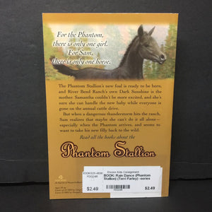 Rain Dance (Phantom Stallion) (Terri Farley) -series paperback