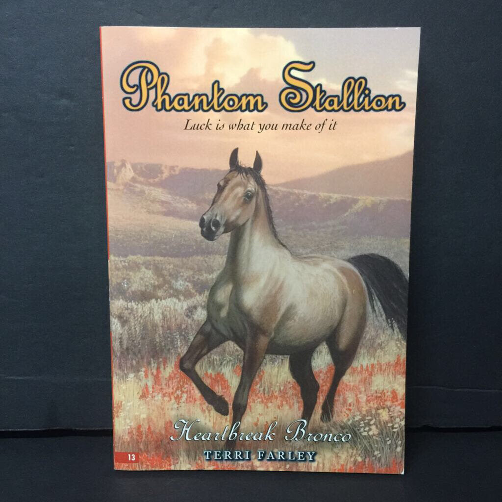 Heartbreak Bronco (Phantom Stallion) (Terri Farley) -series paperback