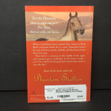 Load image into Gallery viewer, Heartbreak Bronco (Phantom Stallion) (Terri Farley) -series paperback
