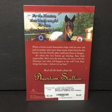 Load image into Gallery viewer, Kidnapped Colt (Phantom Stallion) (Terri Farley) -series paperback
