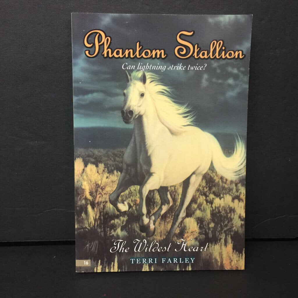 The Wildest Heart (Phantom Stallion) (Terri Farley) -series paperback