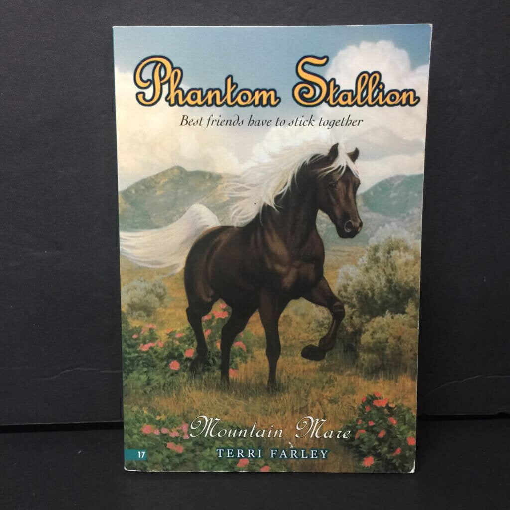 Mountain Mare (Phantom Stallion) (Terri Farley) -series paperback