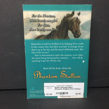 Load image into Gallery viewer, Mountain Mare (Phantom Stallion) (Terri Farley) -series paperback
