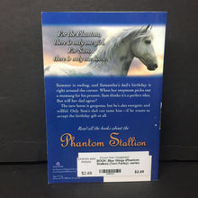 Load image into Gallery viewer, Blue Wings (Phantom Stallion) (Terri Farley) -series paperback
