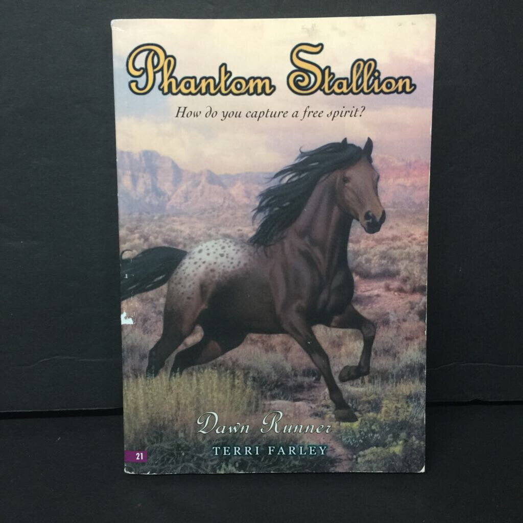 Dawn Runner (Phantom Stallion) (Terri Farley) -series paperback