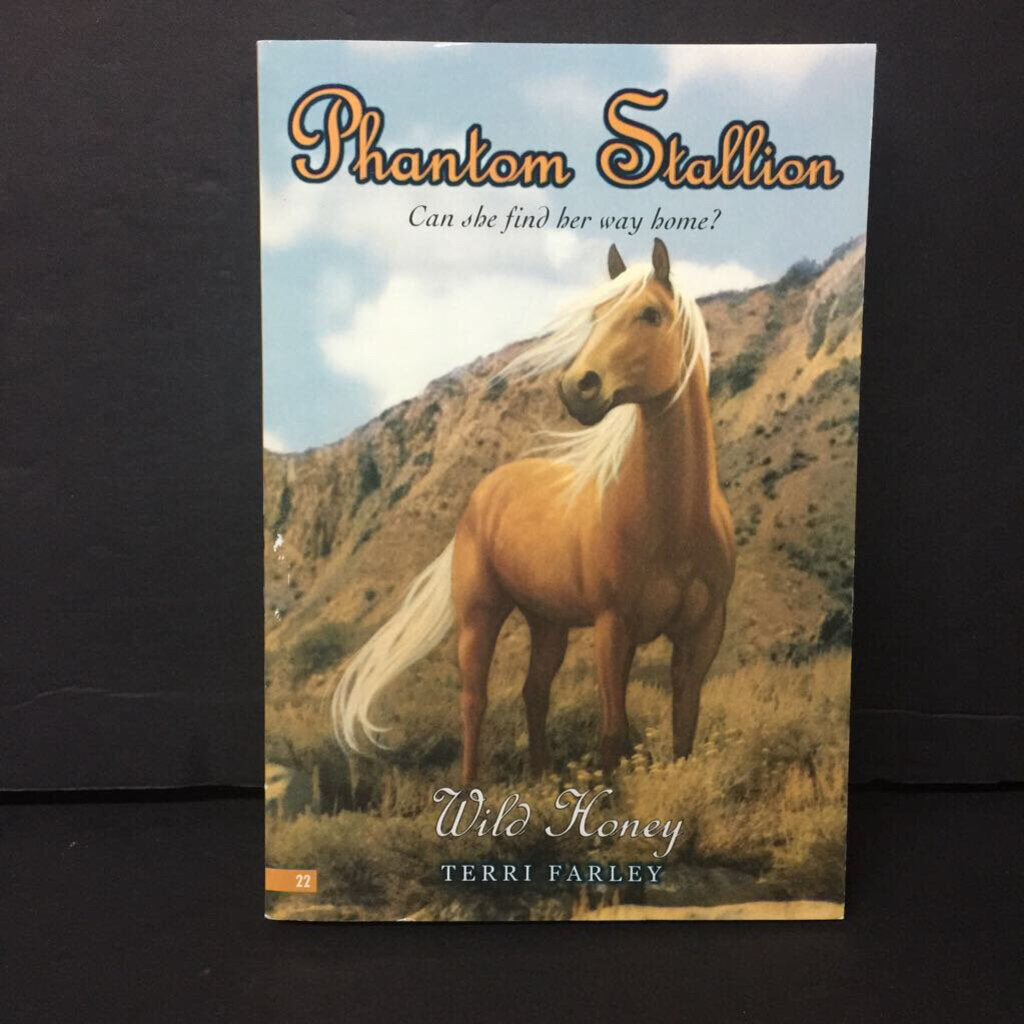 Wild Honey (Phantom Stallion) (Terri Farley) -series paperback