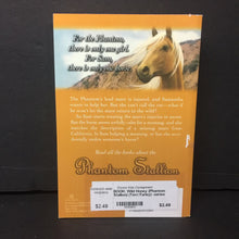 Load image into Gallery viewer, Wild Honey (Phantom Stallion) (Terri Farley) -series paperback
