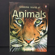 Load image into Gallery viewer, Usborne World of Animals (Susanna Davidson &amp; Mike Unwin) (Mammals) -educational paperback
