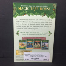 Load image into Gallery viewer, Pirates Past Noon (Magic Tree House) (Mary Pope Osborne) -series paperback
