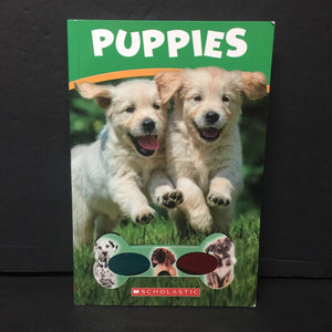 Puppies w/ 3D Glasses -reader educational paperback